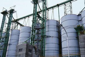 最新2026年版｜化粧パフの効果的なスライステクニックとおすすめアイテム