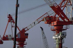 DNAメチル化解析により変異を発見