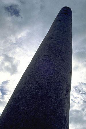 こだわり抜いたシーズニングスパイス